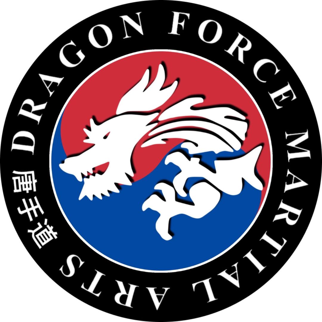Dragon Force Brookhaven  photo